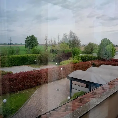 Elysium Raya Mediglia